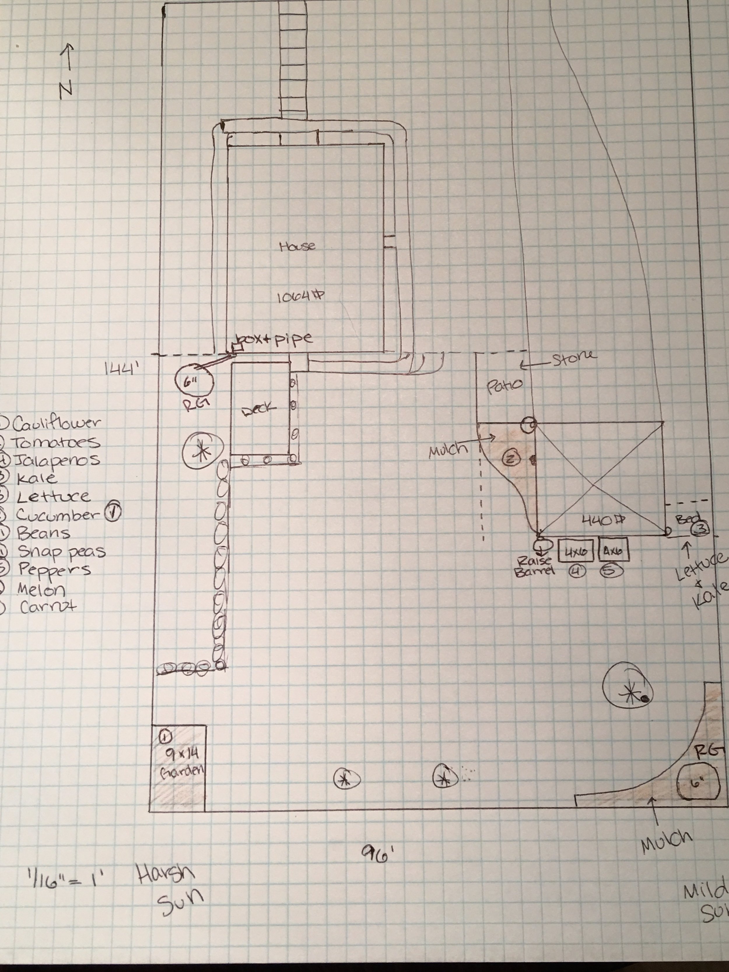 Preliminary sketches of the rain garden (RG) installations in my backyard