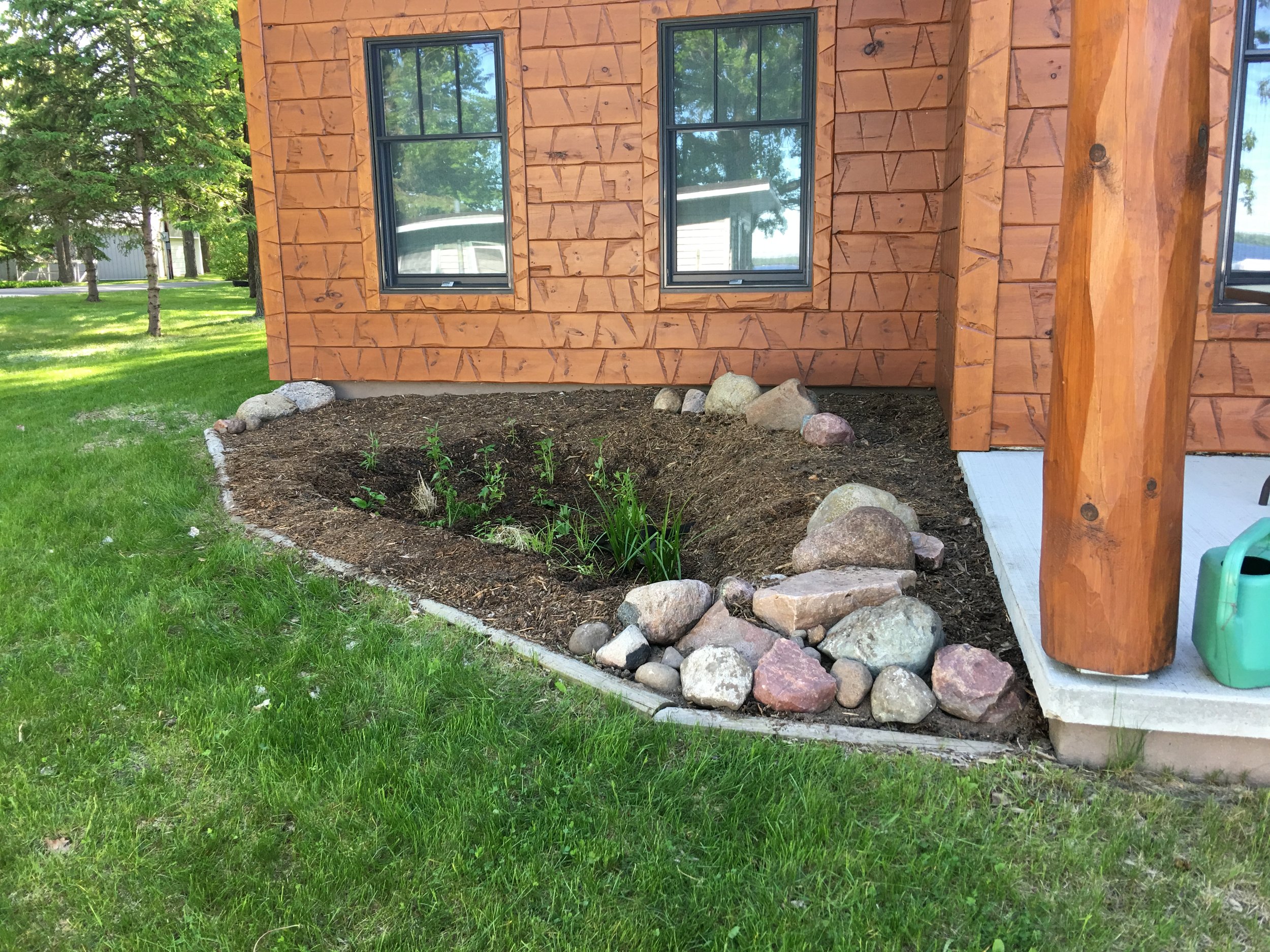 One of many rain gardens I have installed since my training as a Master Water Steward