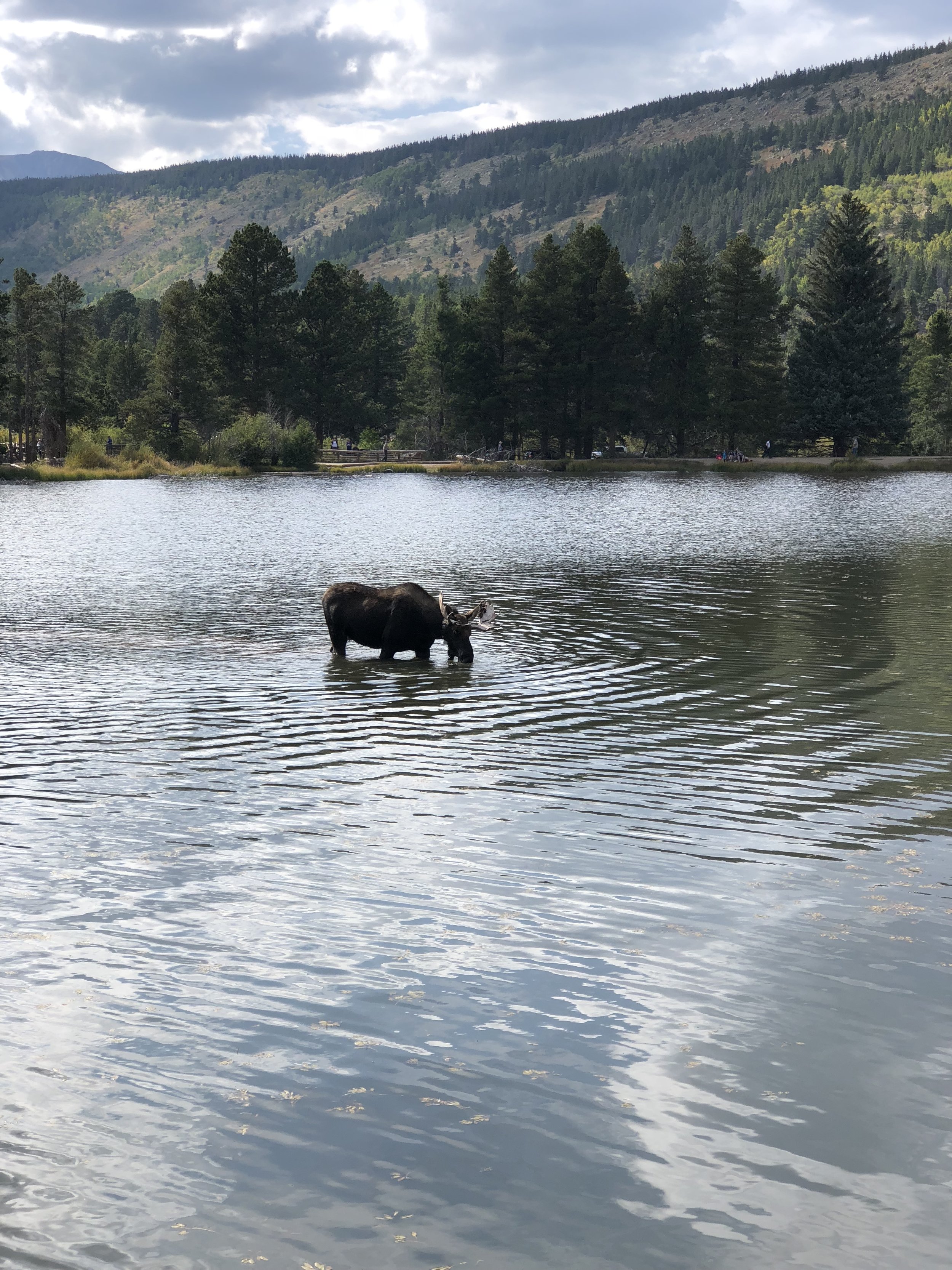 Photo Sep 02, 4 52 29 PM.jpg