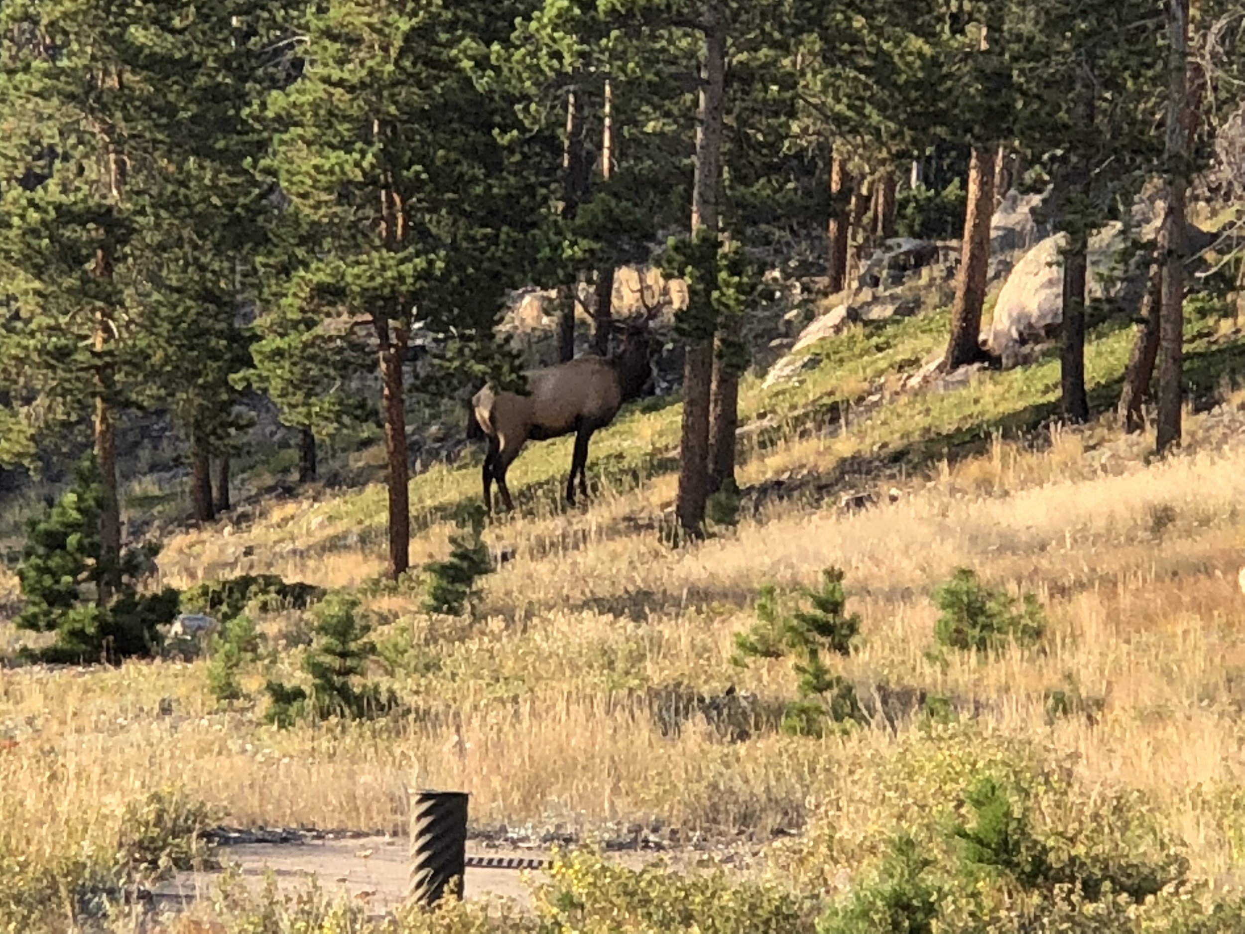 Photo Sep 02, 7 22 39 PM.jpg