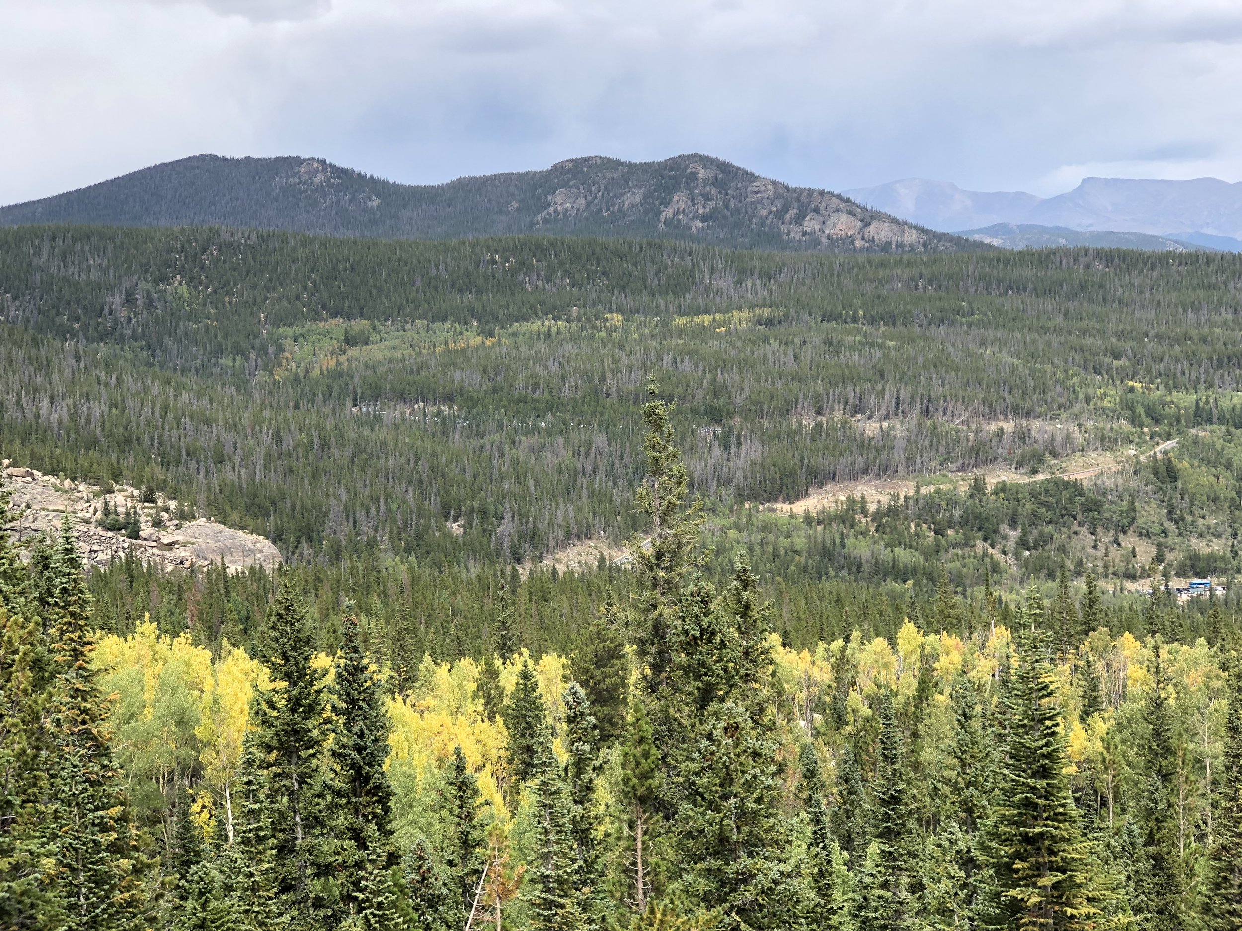 Photo Sep 03, 1 24 48 PM.jpg