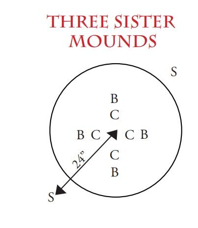 Mound layout used in the Iroquois gardens (image courtesy of Nativeseeds.org)