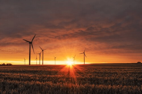 Is Renewable Energy Better for the&nbsp;Environment?