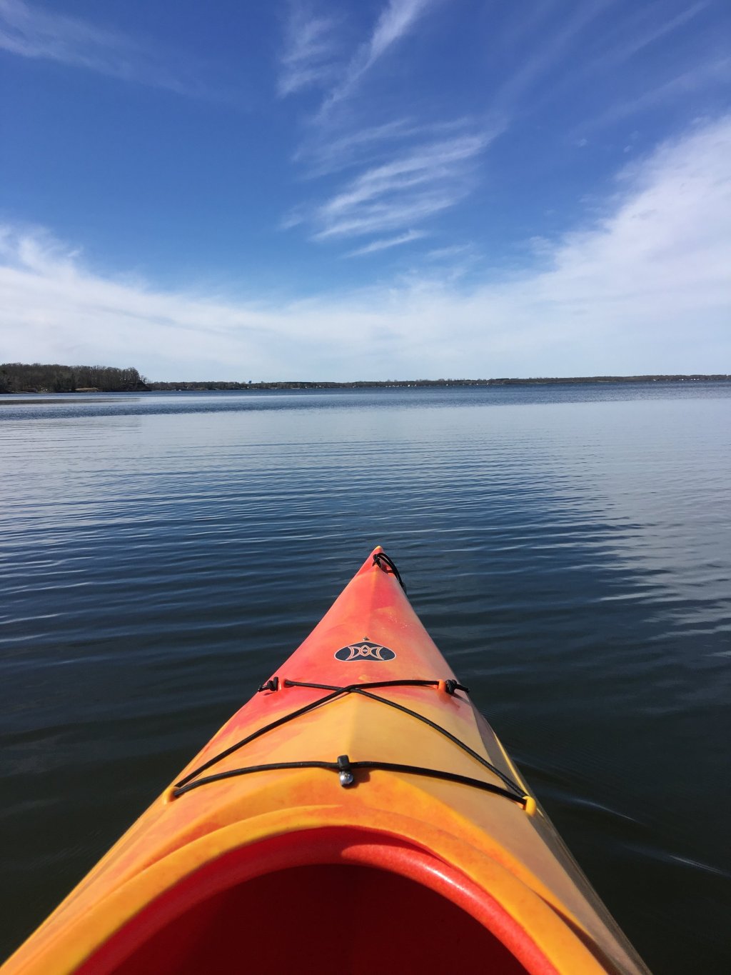 Evolution of Lake Life