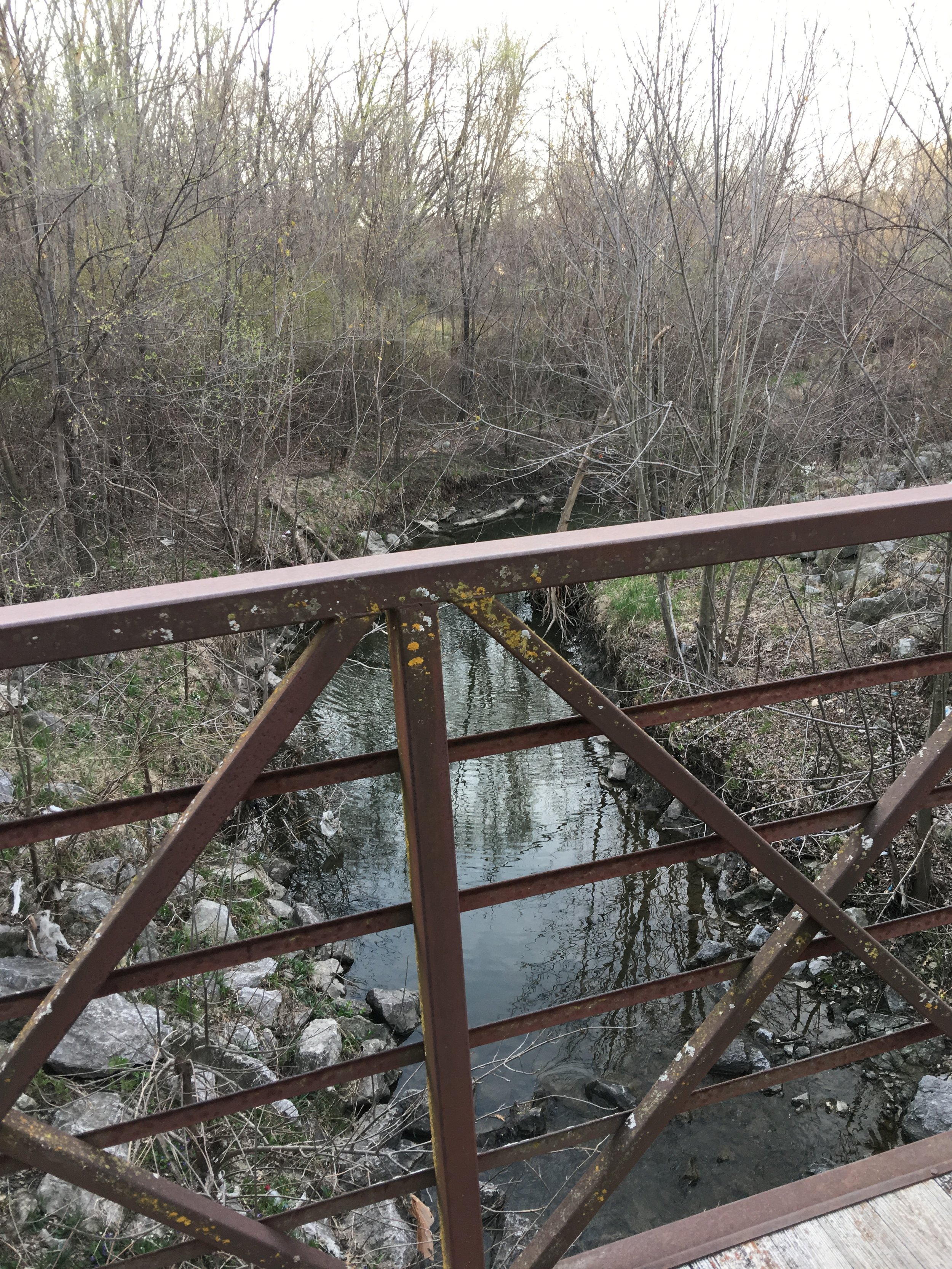 Bridge crossing over the small creek