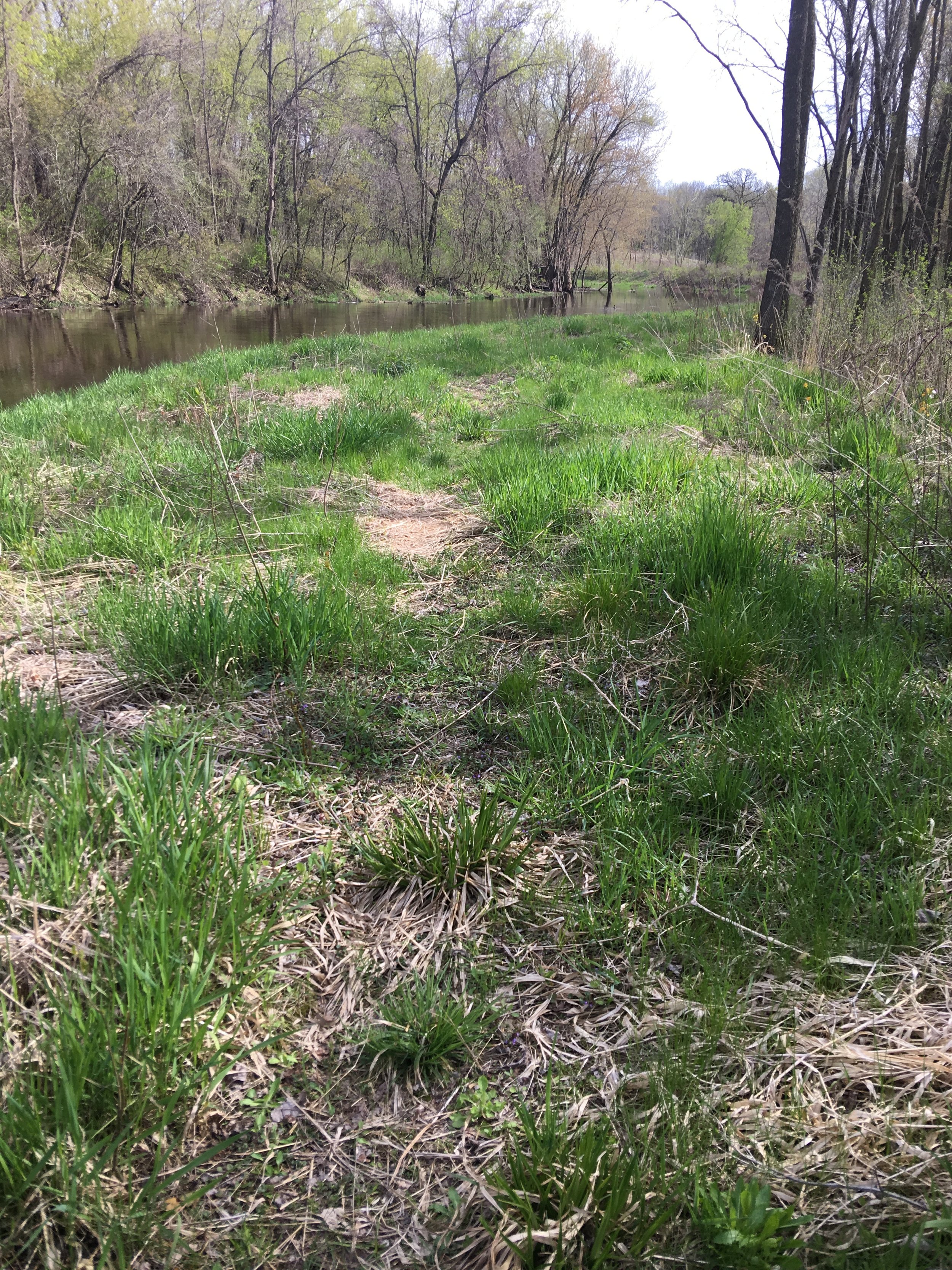 Off the trail on Kings Island