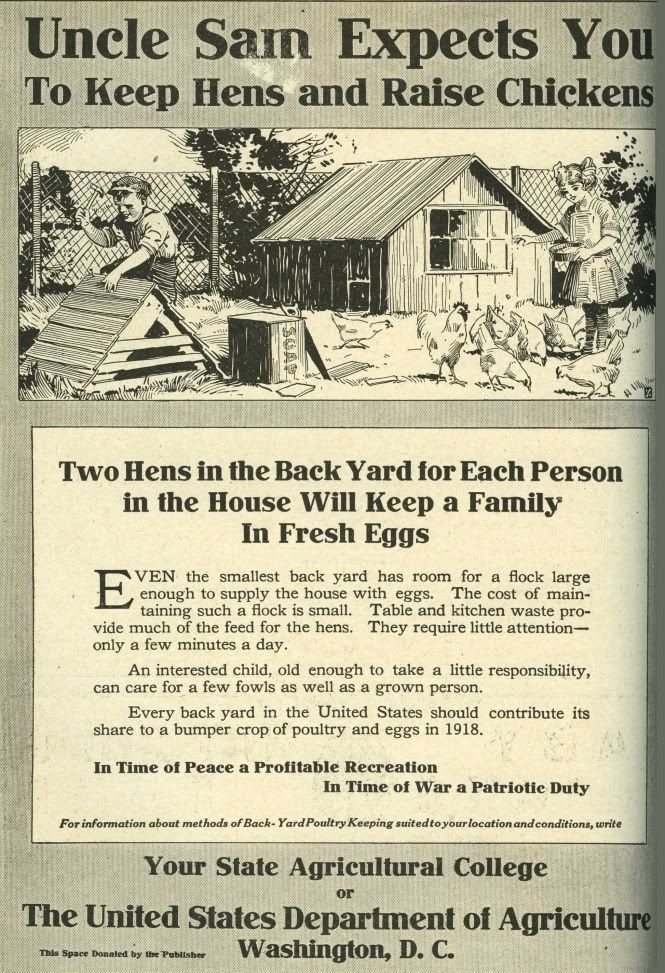 Uncle Same Expects You to Keep Hens and Rise Chickens poster